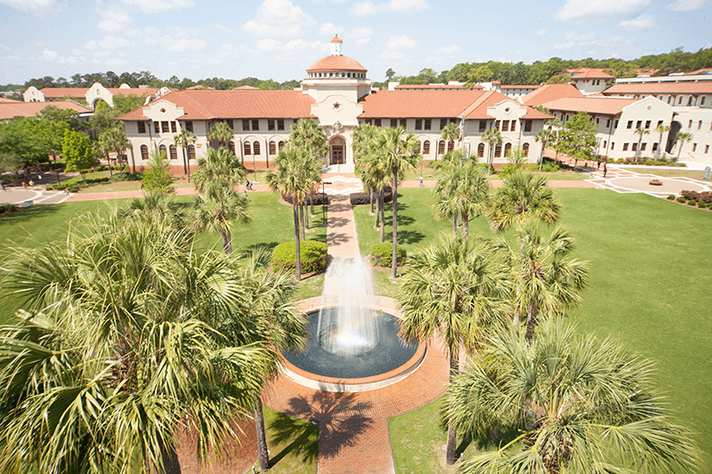 🎓 Education & Community